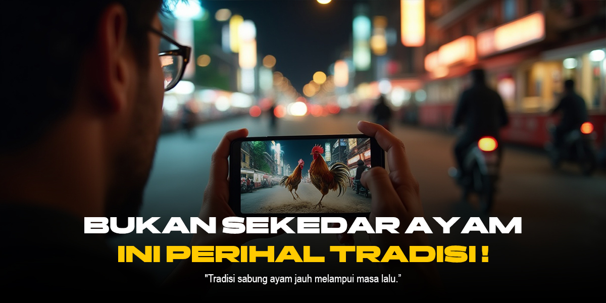 Mengenal Hebatnya Jenis Ayam Bangkok dalam Sabung Ayam SV388